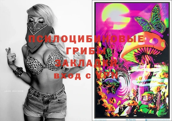 каннабис Алексеевка
